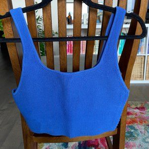 Aritzia (Babaton) Crop Top in Gorgeous Blue (Size M)